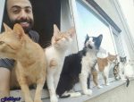 تصاویر) + تصویر العمل دیدنی گربههای مصدوم به کیبوردنوازی مرد جوان (